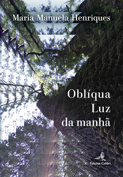Oblíqua Luz da Manhã
